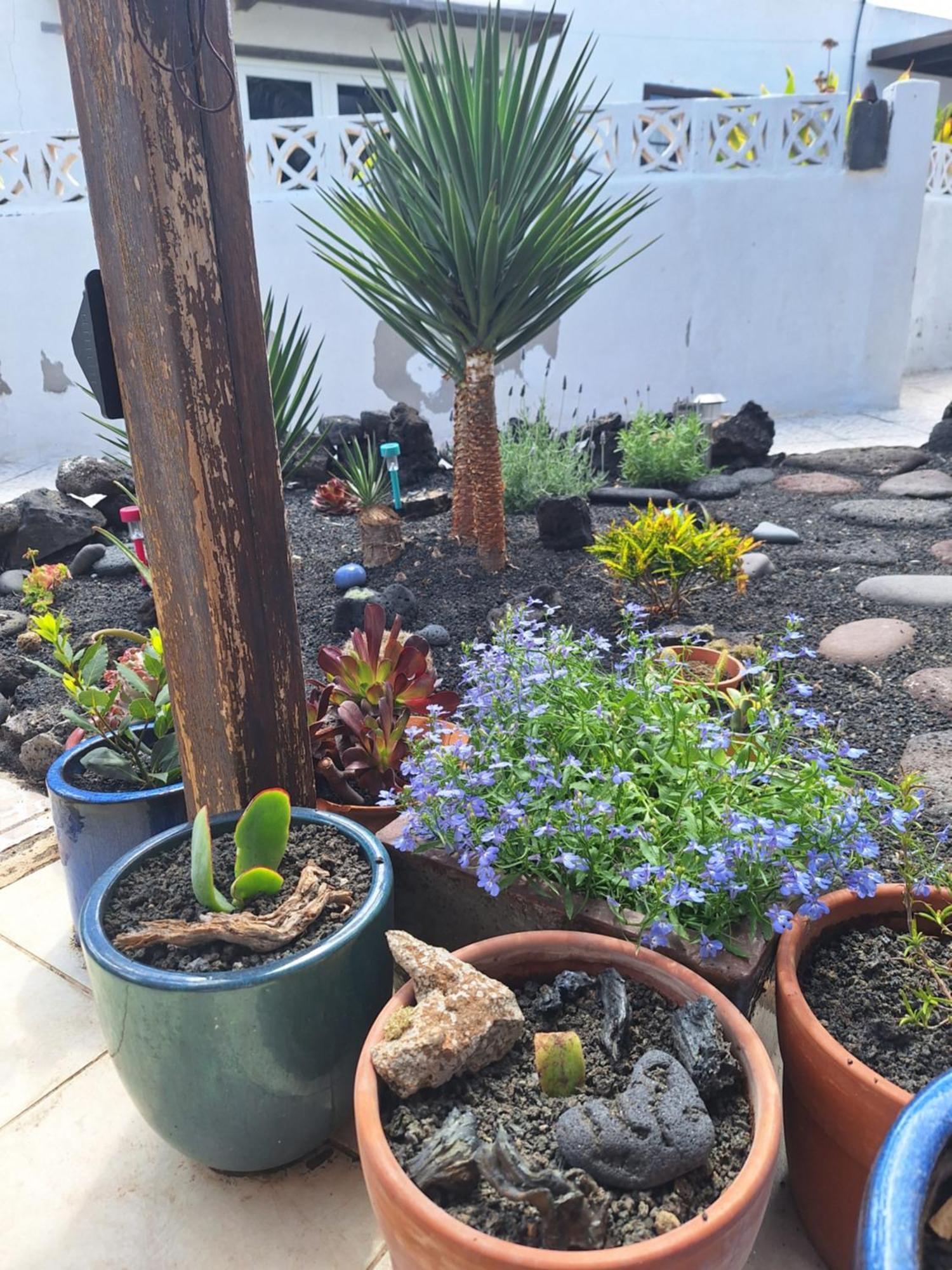 Willa Casita Pequena Lanzarote Teguise  Zewnętrze zdjęcie